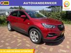 Opel Grandland X 1.6 Turbo Hybrid Business Edition, Gebruikt, 4 cilinders, Bluetooth, Bedrijf