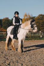 Super lieve tinker merrie 1.36, Dieren en Toebehoren, Pony's, Merrie