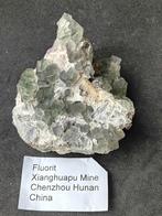 Topstuk Fluoriet cluster onbeschadigde kubussen, China, Ophalen of Verzenden, Mineraal