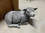 Betonnen beeld Schaap nieuw, Ophalen, Nieuw, Dier