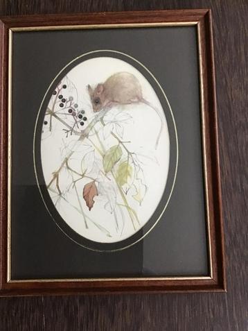 Mooi ingelijste muis, gesigneerd beschikbaar voor biedingen