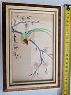Schilderij met vogel en bloesem in lijst, Ophalen of Verzenden