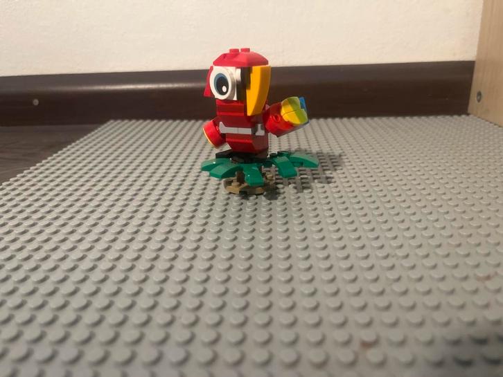 Lego Creator Papegaai 30581 met Instructies, Kinderen en Baby's, Speelgoed | Duplo en Lego, Zo goed als nieuw, Lego, Complete set