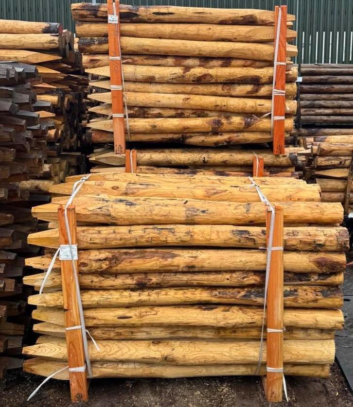 Kastanje palen afrastering schutting erfscheiding terrastuin, Tuin en Terras, Palen, Balken en Planken, Nieuw, Palen, Ophalen of Verzenden