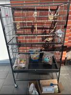 Te koop: Volledig ingerichte vogelkooi, Dieren en Toebehoren, Vogels | Hokken en Kooien, Ophalen, Zo goed als nieuw, Metaal, Vogelkooi