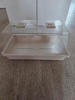 Zo goed als nieuwe kweekkas, Ophalen of Verzenden, Zaad