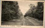 Lunteren Bosweg naar de Goudsberg  2 paarden+kar st 1952