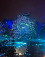 GEZOCHT! tomorrowland tickets. W2 Sunday, Tickets en Kaartjes, Twee personen