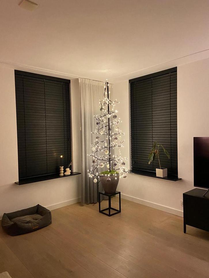 Kerstboom, Diversen, Kerst, Ophalen