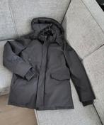 Airforce slimfit parka maat XL, HELEMAAL NIEUW!!, Ophalen of Verzenden, Maat 56/58 (XL)