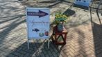 Helofyten ! Nitraat zuiverende vijverplanten ! Specialist, Tuin en Terras, Vijver-toebehoren, Ophalen, Nieuw