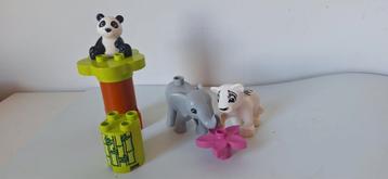 Duplo jonge dieren 10904 beschikbaar voor biedingen