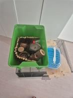Knaagdier spullen, Kooi, Gebruikt, Minder dan 75 cm, Hamster