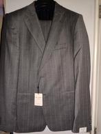 Van Gils Grijs Gestreept Pak Maat 56 (XL), Kleding | Heren, Kostuums en Colberts, Ophalen, Van Gils, Grijs, Maat 56/58 (XL)