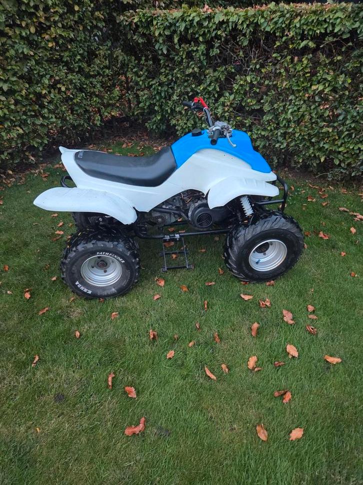 Quad dinle, Fietsen en Brommers, Minibikes, Midibikes en Pitbikes, Overige typen, Ophalen