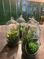 Vondels Kerstbal Terrarium Botanical (4x), Diversen, Kerst, Ophalen of Verzenden, Zo goed als nieuw