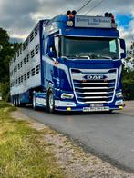 WSI   DAF XG+ MY25 +  LIVESTOCK TRAILER PEETERS DE BAKKER, Hobby en Vrije tijd, Modelauto's | 1:50, Ophalen of Verzenden, Nieuw