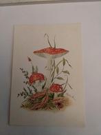 A. BL0CK.    PADDESTOEL  - LIEVEHEERSBEESTJE, Verzamelen, Ansichtkaarten | Themakaarten, Ophalen of Verzenden