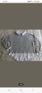 Trui met blouse, nieuw, maat L, Ophalen of Verzenden, Nieuw, Grijs