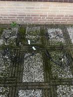 Piaggio Typhoon 125cc kabelboom, Ophalen of Verzenden