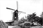 (GD104) Ansichtkaart Dinxperlo De Heurne molen Teunis 1981, Verzenden, 1980 tot heden, Ongelopen, Gelderland