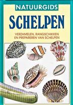 Schelpen verzamelen, rangschikken en prepareren, Ophalen, Zo goed als nieuw, Overige onderwerpen