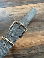 Grijze Guess riem met slangen print in maat M (95), Guess, Zwart, 90 tot 100 cm, Heupriem