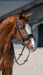 HB Hoofdstel Showtime It is So Special Zwart/Navy Glitter, Ophalen of Verzenden