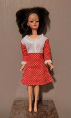 Vintage Barbie / Willy Wildebras - Jaren 60, Ophalen of Verzenden, Gebruikt, Barbie