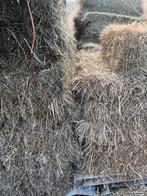 Hooi balen, grof hooi, Ophalen, Overige soorten, Volle zon