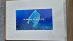 Hayden Kays - eat sleep pollute repeat, Antiek en Kunst, Kunst | Litho's en Zeefdrukken, Ophalen of Verzenden
