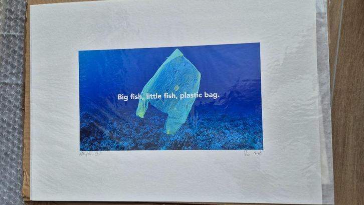Hayden Kays - eat sleep pollute repeat, Antiek en Kunst, Kunst | Litho's en Zeefdrukken, Ophalen of Verzenden
