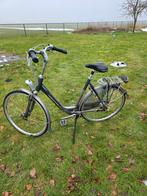 Gazelle orange plus in keurige staat, 56 cm of meer, Ophalen, Zo goed als nieuw, Gazelle