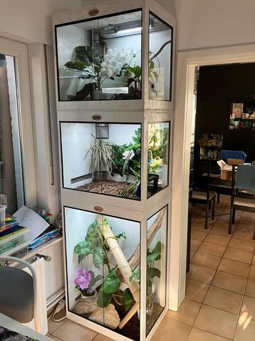Osb terrarium RepHouSZ. Ook maatwerk  beschikbaar voor biedingen