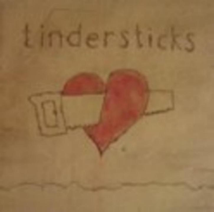 Tindersticks - Hungry Saw (Nieuwstaat), Cd's en Dvd's, Cd's | Pop, Zo goed als nieuw, 2000 tot heden, Ophalen of Verzenden