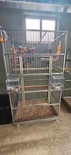 Rvs papagaaien kooi 1 jaar oud, Ophalen of Verzenden, Zo goed als nieuw, Overige materialen, Vogelkooi