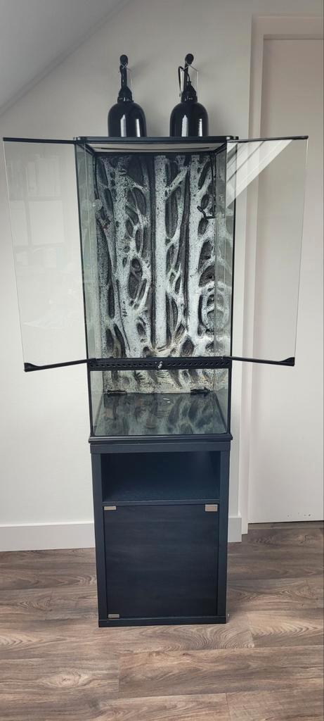 Terrarium incl. toebehoren, Dieren en Toebehoren, Reptielen en Amfibieën | Toebehoren, Zo goed als nieuw, Terrarium of Paludarium