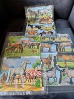 5 vellen nieuwe poëzie plaatjes van paarden, Ophalen of Verzenden