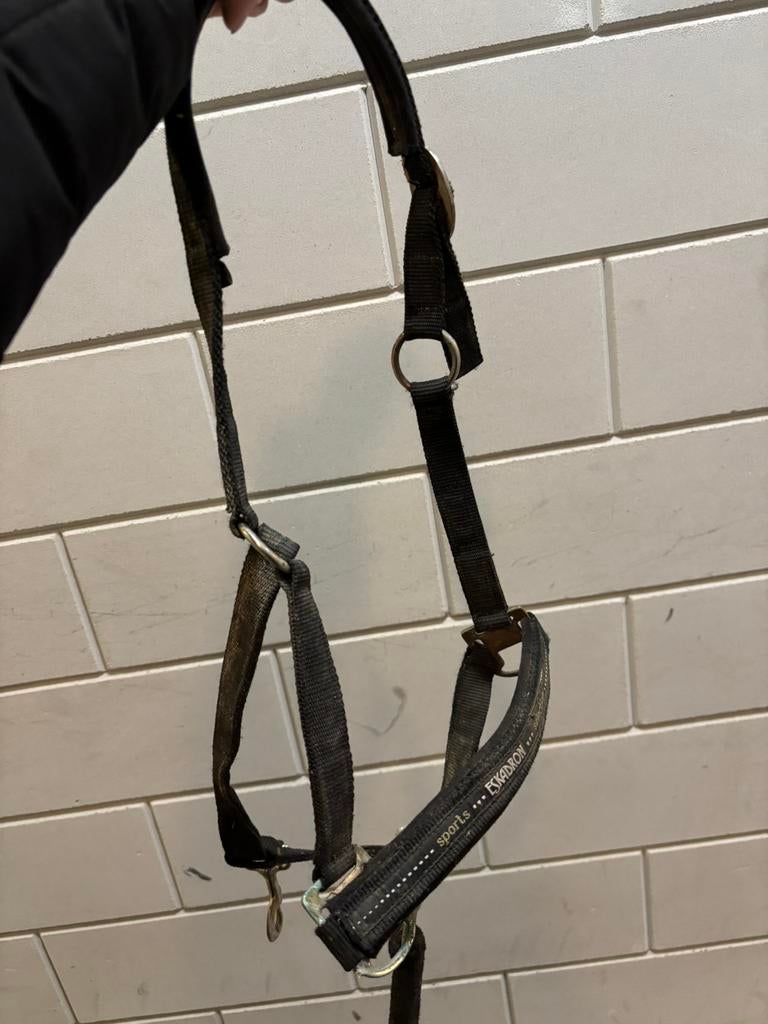 Diverse halsters, Ophalen of Verzenden, Zo goed als nieuw, Overige soorten