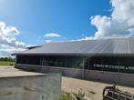 Rundveestal, Stal, Staalconstructie, Hal,