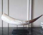 Grote bruin witte hoorn op voet vakkenkast stijl, Nieuw, Ophalen of Verzenden, X, X
