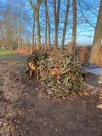 Stookhout - Takken, 3 tot 6 m³, Ophalen of Verzenden, Overige houtsoorten, Takken