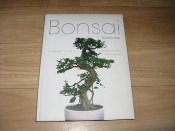 Martina Hop - Bonsai beschikbaar voor biedingen