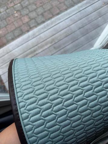 Kentucky dekje beschikbaar voor biedingen