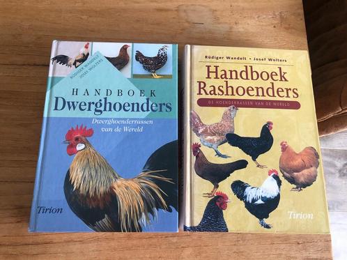 Handboeken kippen dwerghoenders en rashoenders, Boeken, Dieren en Huisdieren, Zo goed als nieuw, Pluimvee, Ophalen of Verzenden