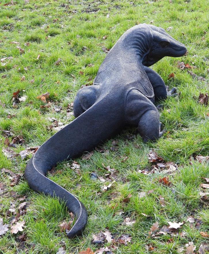 Uniek! Aangeboden een volwassen Komodo varaan 255 cm