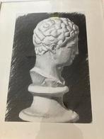 Houtskoolstudie Klassiek Hoofd Tekening Ingelijst, Antiek en Kunst, Kunst | Tekeningen en Foto's, Ophalen of Verzenden