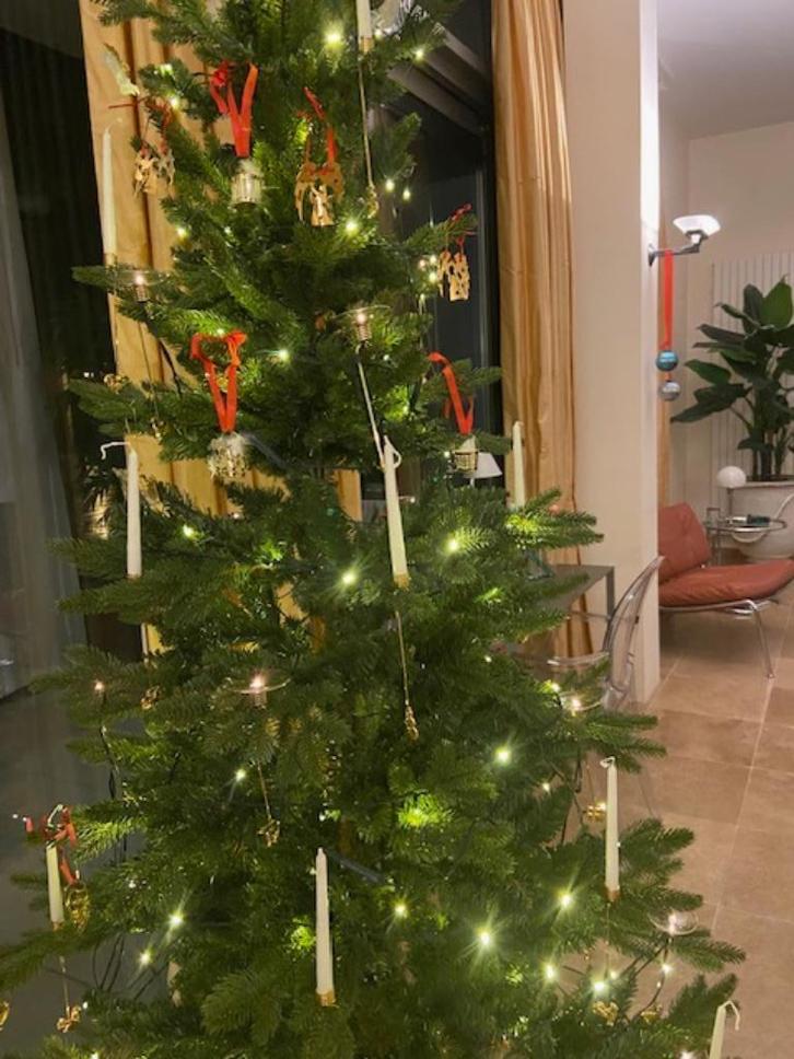 Kerstboom 215 cm hoog, Diversen, Kerst, Ophalen