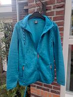 Human Nature Vest - Zo goed als nieuw! Maar L, Kleding | Dames, Bodywarmers, Human Nature, Ophalen, Zo goed als nieuw