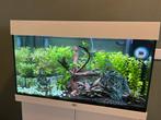 Juwel rio 125 met helialux 800, Dieren en Toebehoren, Ophalen, Zo goed als nieuw, Leeg aquarium